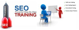 SEO Certification Courses Training Institute Banner