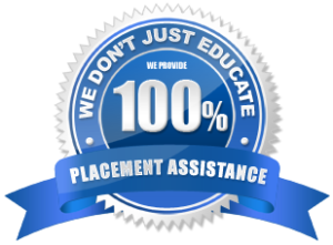 100% Placement Assistance - Proideators Digital Marketing Course