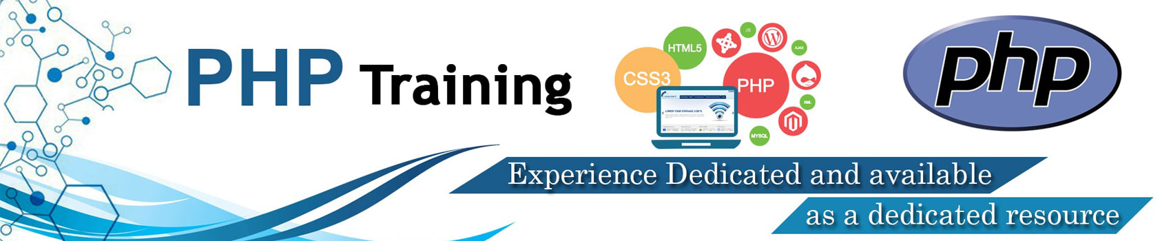 Learn Online PHP Mysql Developer Programming Training Course Tutorial Certification