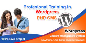 Wordpress training website development courses institute